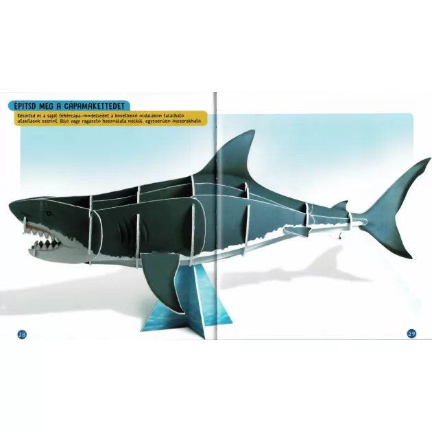 Nézd meg belülről - Cápák