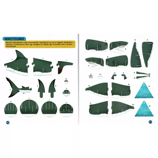 Nézd meg belülről - Cápák