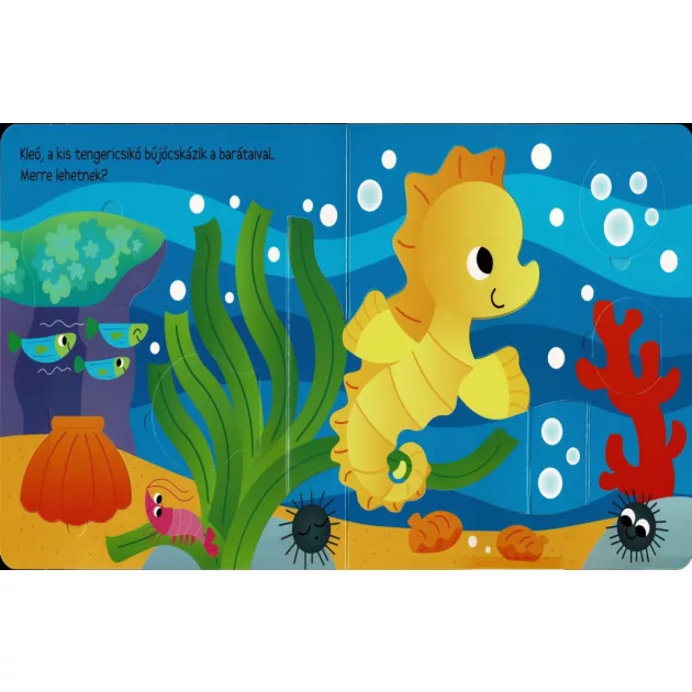 Ki bújt el? Tengeri állatok