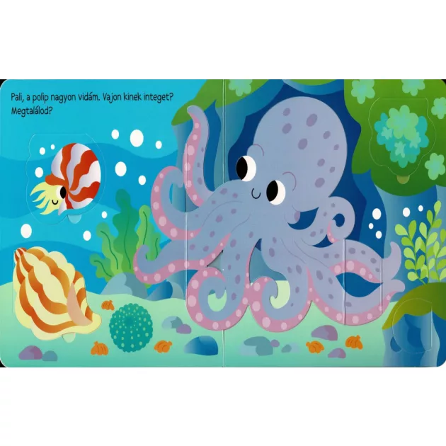 Ki bújt el? Tengeri állatok