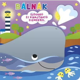 Ki bújt el? Bálnák
