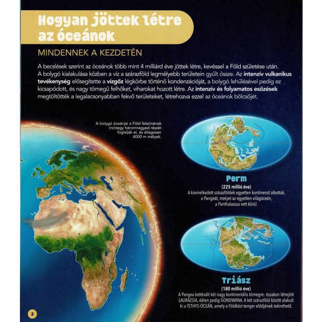 Dioráma - Tengeri állatvilág