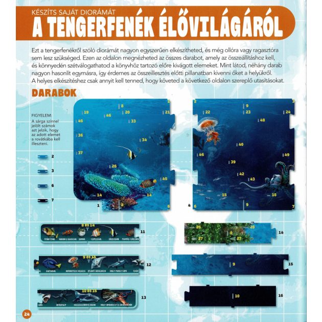 Dioráma - Tengeri állatvilág