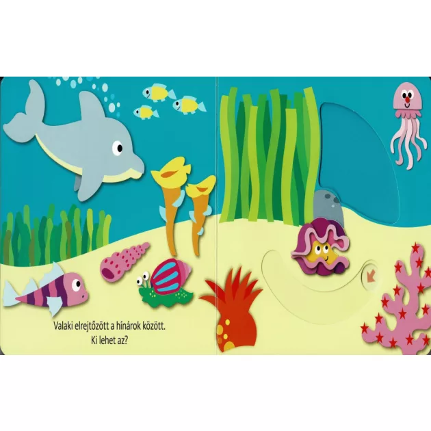 Hová bújtam? Tengeri állatok