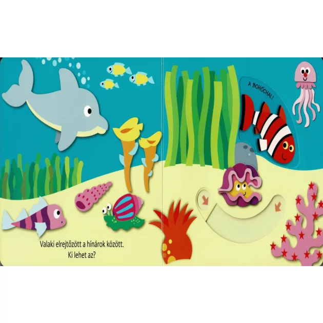 Hová bújtam? Tengeri állatok