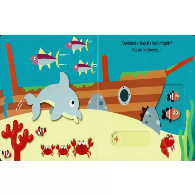 Hová bújtam? Tengeri állatok
