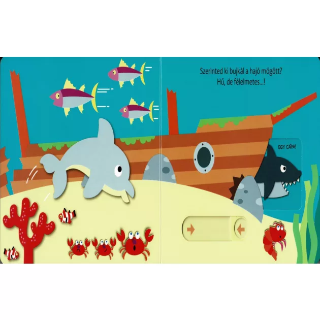 Hová bújtam? Tengeri állatok