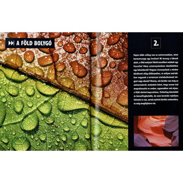 Olvassatok velünk! - 2500 érdekesség