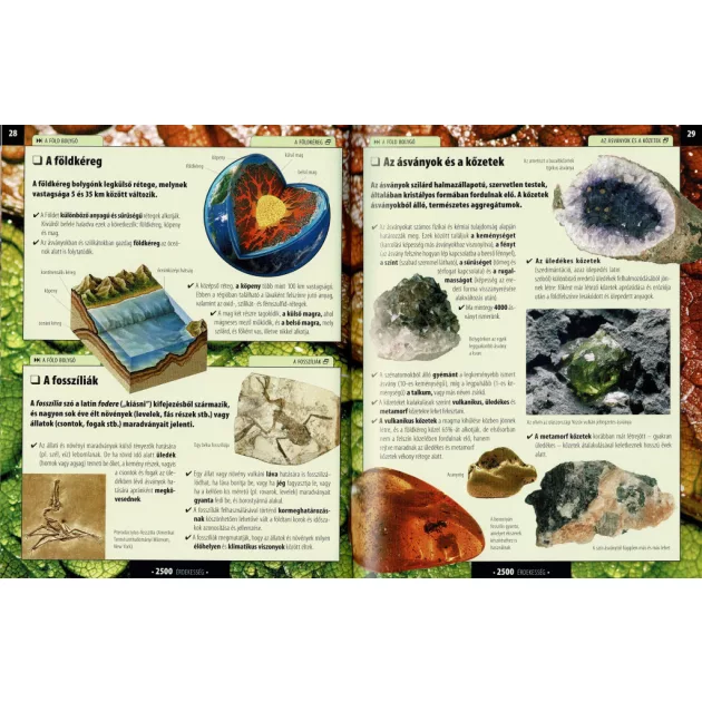 Olvassatok velünk! - 2500 érdekesség