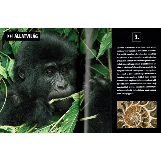 Olvassatok velünk! - 2500 érdekesség