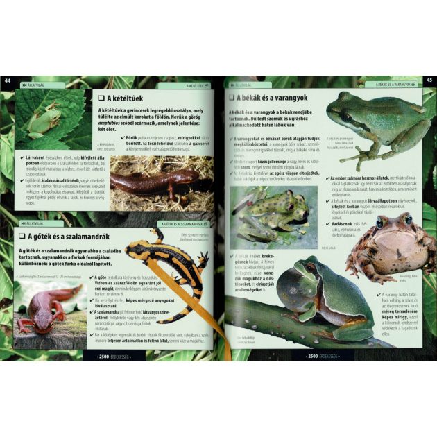 Olvassatok velünk! - 2500 érdekesség