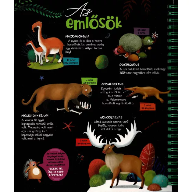 Csodalámpa - Ősállatok