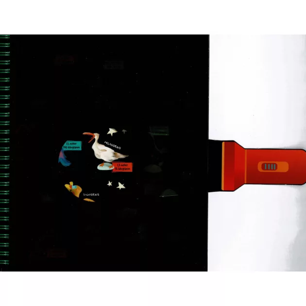 Csodalámpa - Ősállatok