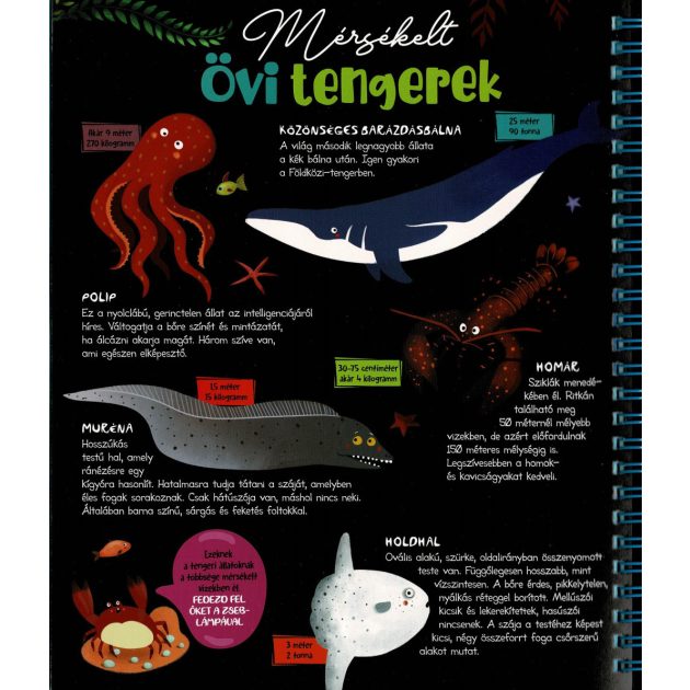 Csodalámpa - Tengeri állatok
