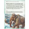 Varázslatos útmutató a mamutokhoz