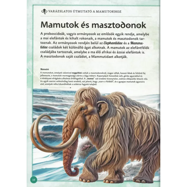 Varázslatos útmutató a mamutokhoz