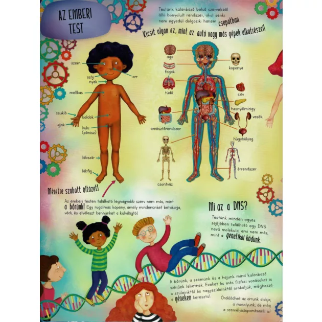 Óriás könyv az emberi testről