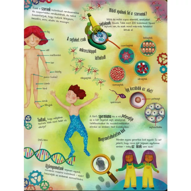 Óriás könyv az emberi testről