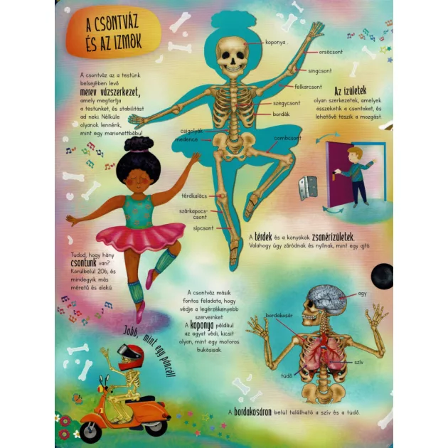 Óriás könyv az emberi testről