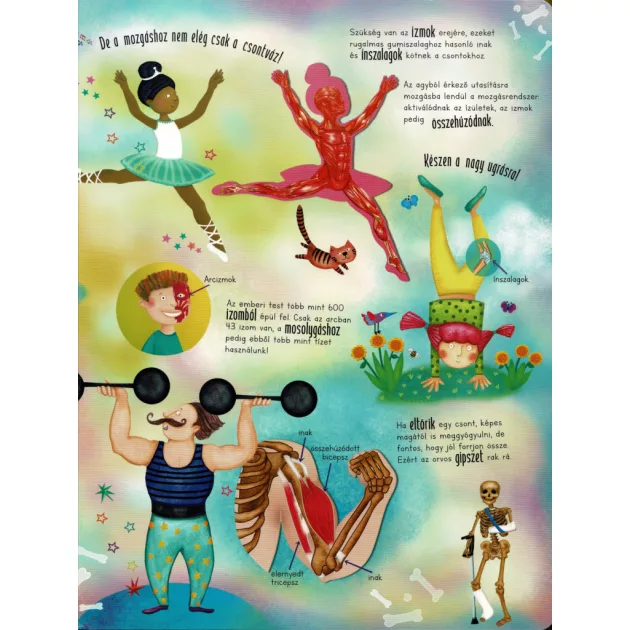 Óriás könyv az emberi testről