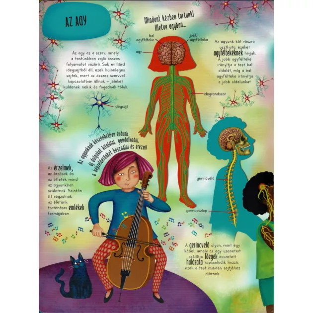 Óriás könyv az emberi testről