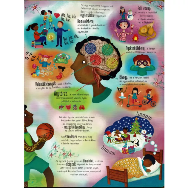 Óriás könyv az emberi testről