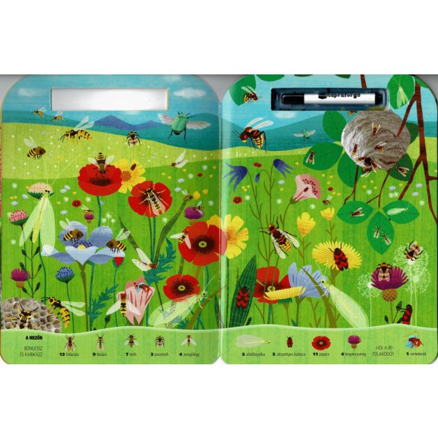 Böngéssz és karikázz! - Bogarak