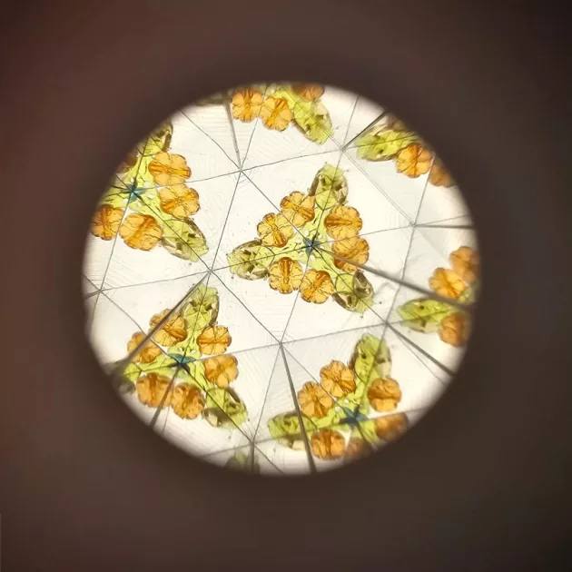 Little Dutch kaleidoszkóp Forest Friends 