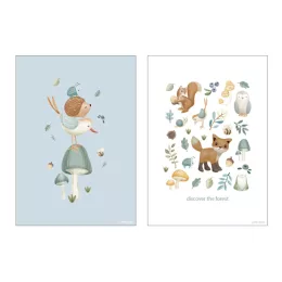 Little Dutch kétoldalas poszter - Forest Wonders