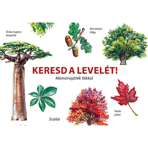 Scolar kiadó - Inca Starzinsky - Keresd a levelét! – Memóriajáték fákkal