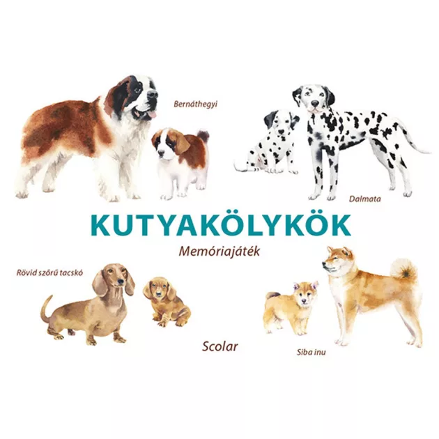 Scolar kiadó - Inca Starzinsky - Kutyakölykök – Memóriajáték