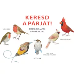   Scolar kiadó - Inca Starzinsky - Keresd a párját! – Memóriajáték madarakkal