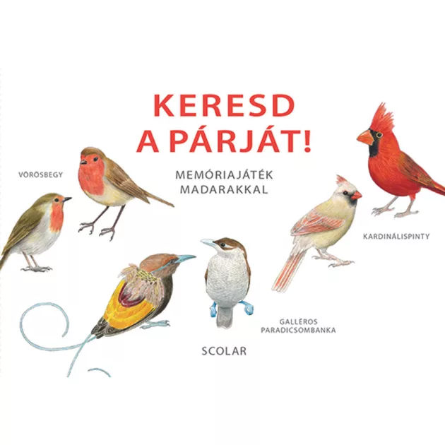 Scolar kiadó - Inca Starzinsky - Keresd a párját! – Memóriajáték madarakkal