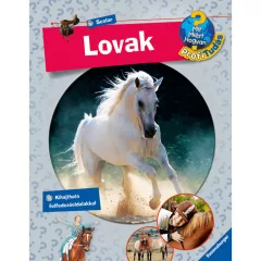   Scolar kiadó - Andrea Schwendemann - Lovak (Mit? Miért? Hogyan? Profi Tudás)