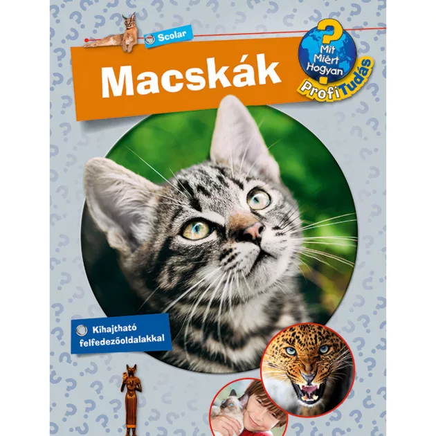 Scolar kiadó - Andrea Schwendemann - Macskák (Mit? Miért? Hogyan? Profi Tudás)