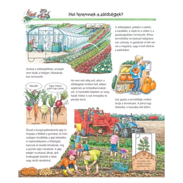 Scolar kiadó -Mi történik a gazdaságban?