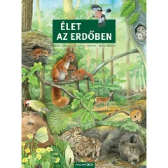 Scolar kiadó - Bärbel Oftring - Élet az erdőben