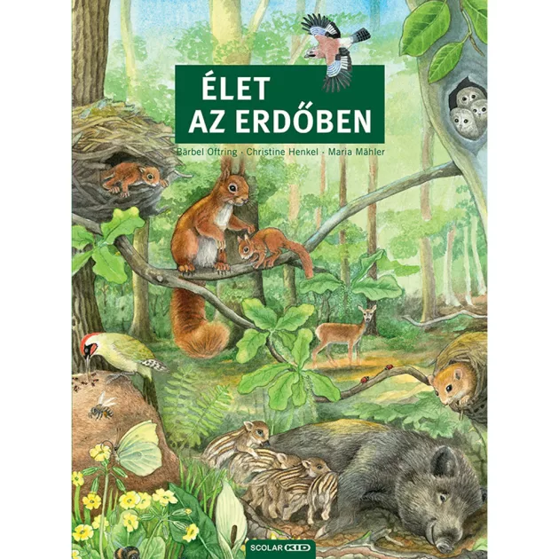 Scolar kiadó - Bärbel Oftring - Élet az erdőben