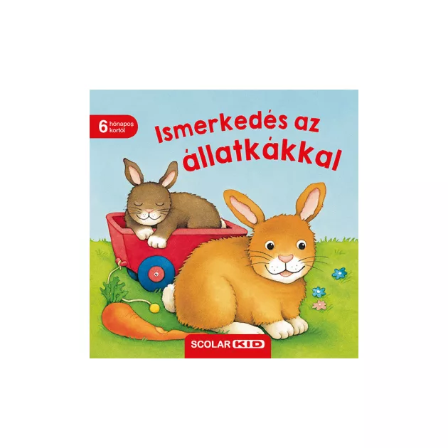 Scolar kiadó - Monika Neubacher-Fesser - Ismerkedés az állatkákkal