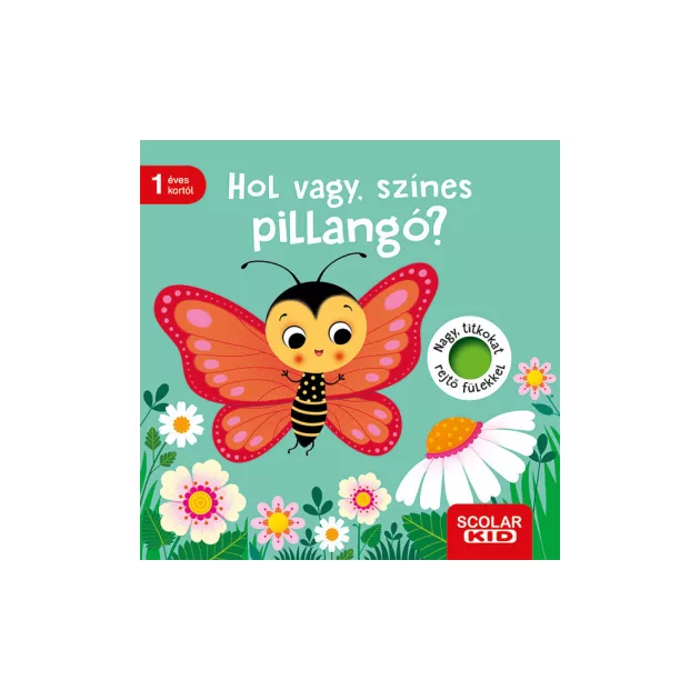 Scolar kiadó - Klara Tünner - Hol vagy, színes pillangó?
